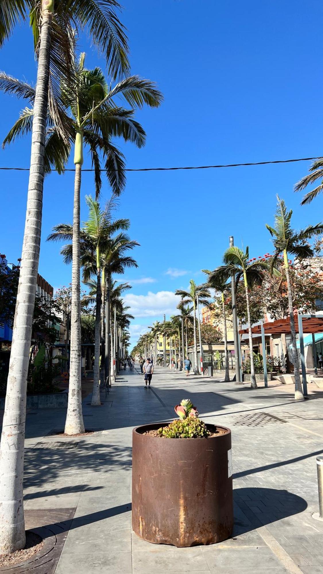 Mirame Canarias Vecindario  Esterno foto
