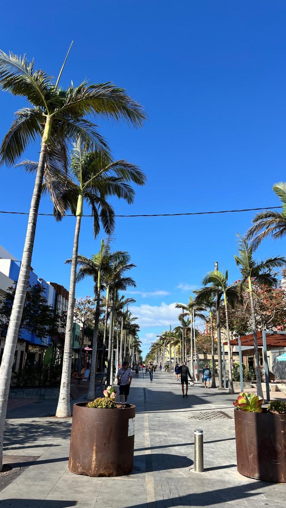 Mirame Canarias Vecindario  Esterno foto